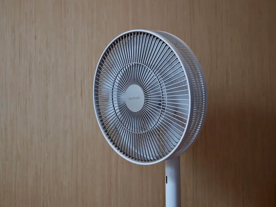 木紋牆前的 BALMUDA 風扇